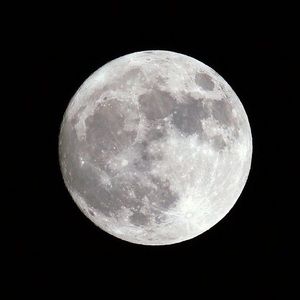 Meet your Posher, Łemon